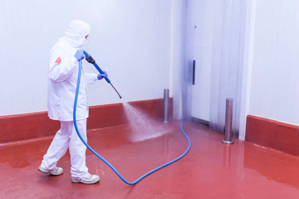 Best Gutter Cleaning and Brightening in Newton, NC