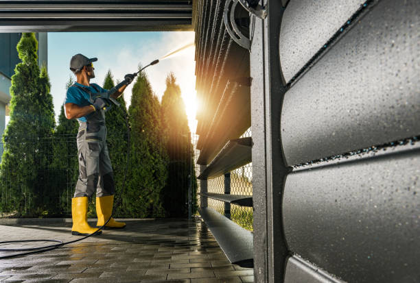 Best Roof Cleaning and Mildew Removal in Newton, NC