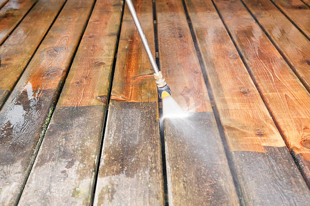 Trusted Newton, NC Pressure Washing Services Experts